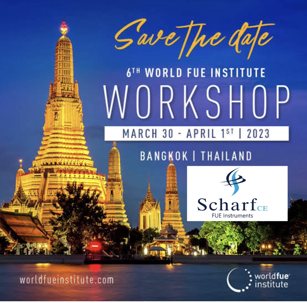 6th International World FUE Institute Workshop